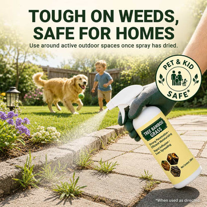 Fast-Acting Natural Weed Killer with Long-Lasting Protection🎄