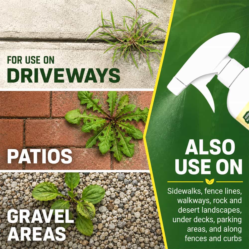 Fast-Acting Natural Weed Killer with Long-Lasting Protection🎄