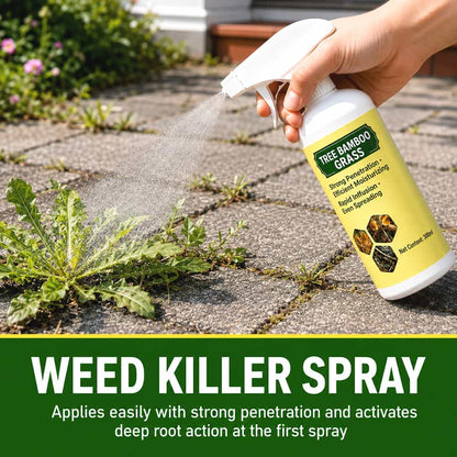 Fast-Acting Natural Weed Killer with Long-Lasting Protection🎄