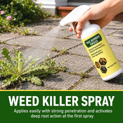 Fast-Acting Natural Weed Killer with Long-Lasting Protection🎄